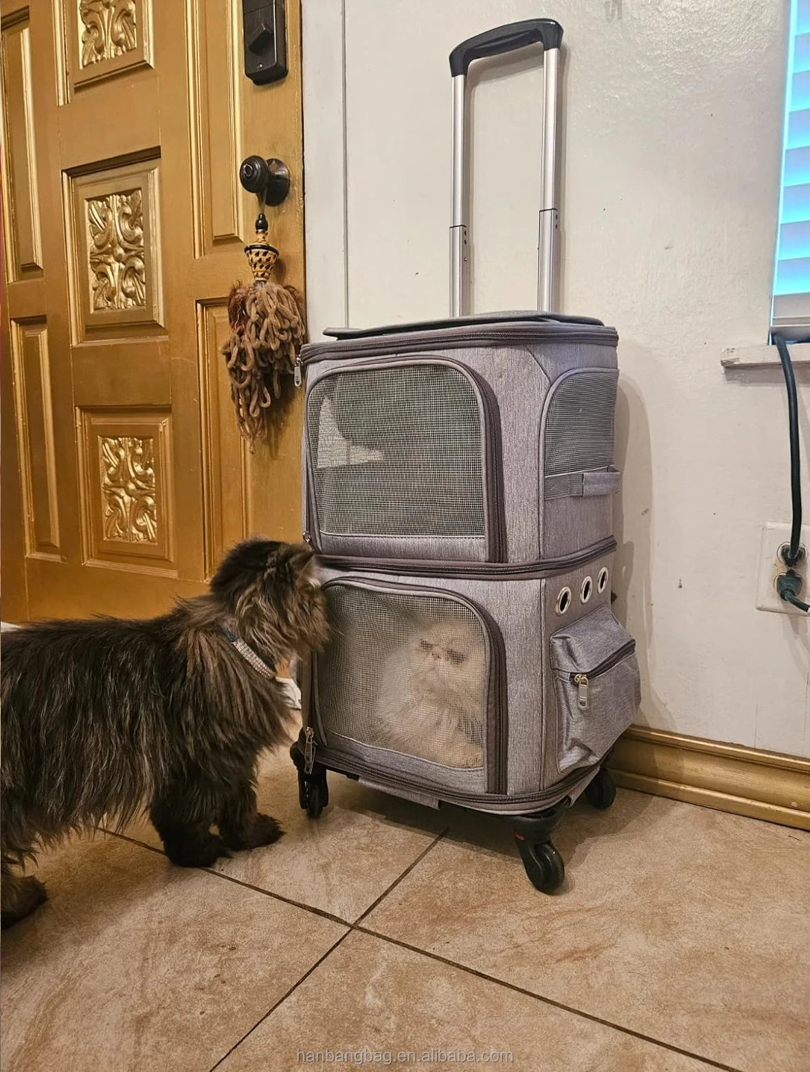 Travel wheels stroller rolling trolley pet carrier with wheels for 2 cats
