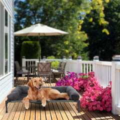 BINGOPAW Outdoor Elevated Dog Bed Cooling Raised Pet Lounger Bed Mesh Cot Sleep Camping Bed with Detachable Plush Bolster