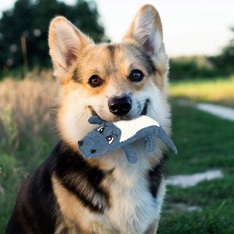 Pet Chew Toys Interactive Cartoon Animal Plush Alligator Shape Dog Sound Toy