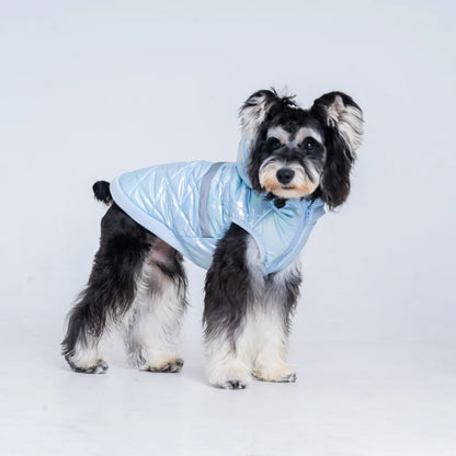 winter costume for dogs Puppy Autumn clothes with hoodie