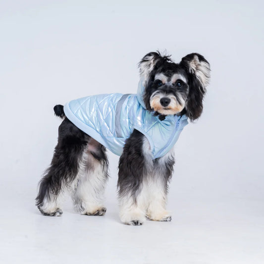winter costume for dogs Puppy Autumn clothes with hoodie