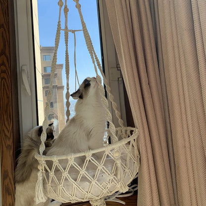 New Pet Hammock Cat Swing