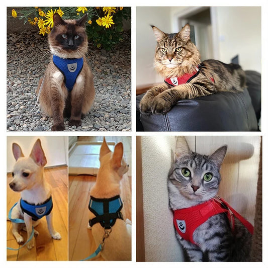 Cat Harness Adjustable Vest Walking Traction Rope Set