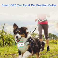 2G Mini Pet GPS Tracker TK909 Waterproof IP65 Geofence Track GPS For Cat Collar Voice Monitor GPS Locator For Dog FREE APP