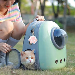 Pet Toys Cat USB Rechargeable Multifunctional Pet Laser Toy For Cats Interactive Funny Kitten Training Laser Toy Cat Accessories