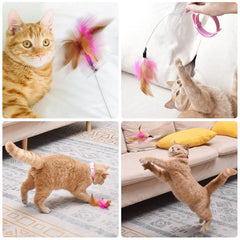 Cat Toys Feather Collar