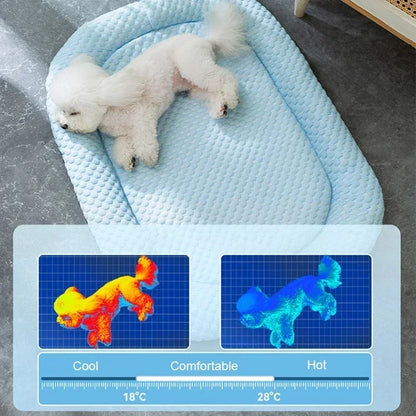 Cold Dog Bed