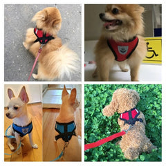 Cat Dog Harness With Lead Leash Kitten Puppy Outdoor Walking Collar Harness Adjustable Vest For Small Medium Pet Accessories