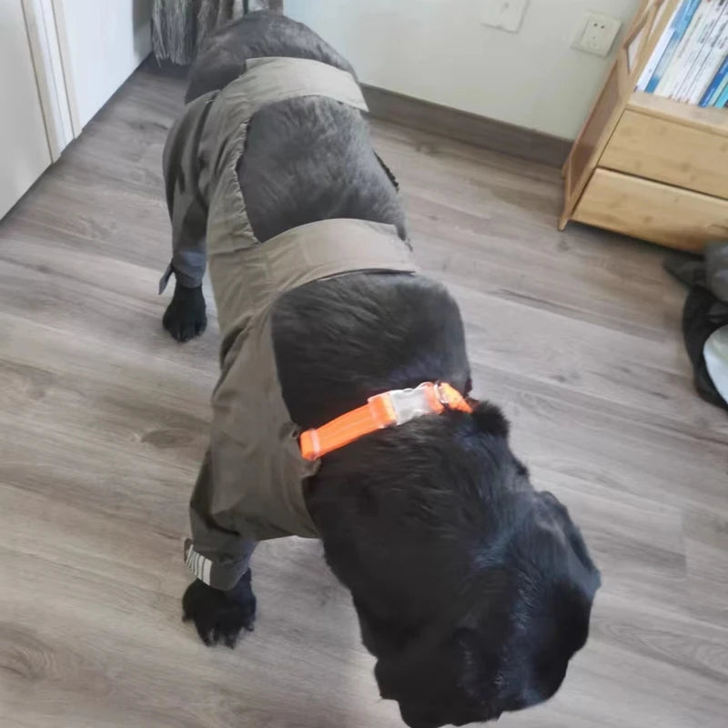 Waterproof Dog Raincoat Jumpsuit
