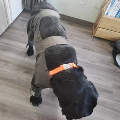 Waterproof Dog Raincoat Jumpsuit For Medium Large Dogs Rain Coat Outdoor Pet Clothes Puppy Doberman Labrador Husky Jacket
