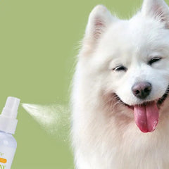 50ml Dog Perfume Spray Pet Odor Eliminator Spray Long-Lasting Dog Calming Deodorizer Dog Conditioner Spray For Smelly Dogs
