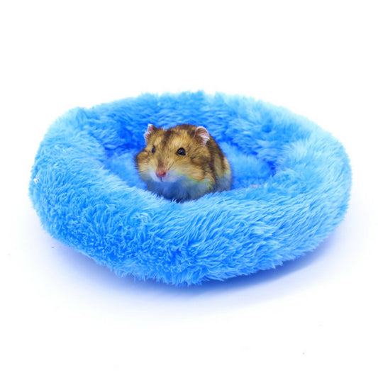 Winter white dwarf hamster