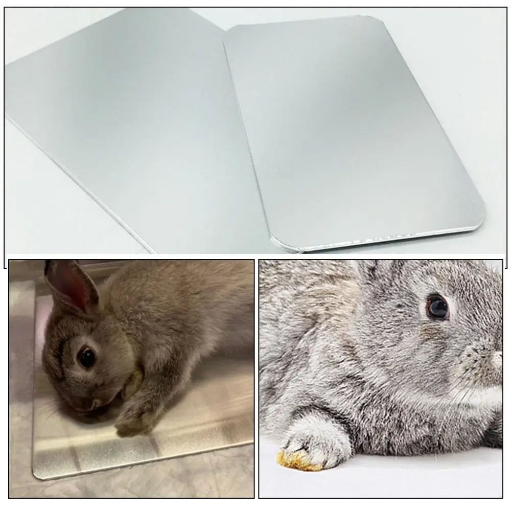 1PC Rabbit Cooling Mat Pet