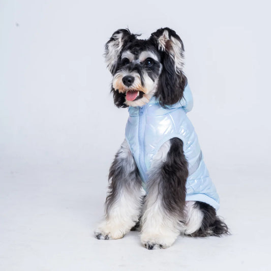 winter costume for dogs Puppy Autumn clothes with hoodie