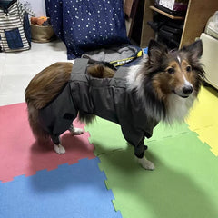 Waterproof Dog Raincoat Jumpsuit For Medium Large Dogs Rain Coat Outdoor Pet Clothes Puppy Doberman Labrador Husky Jacket