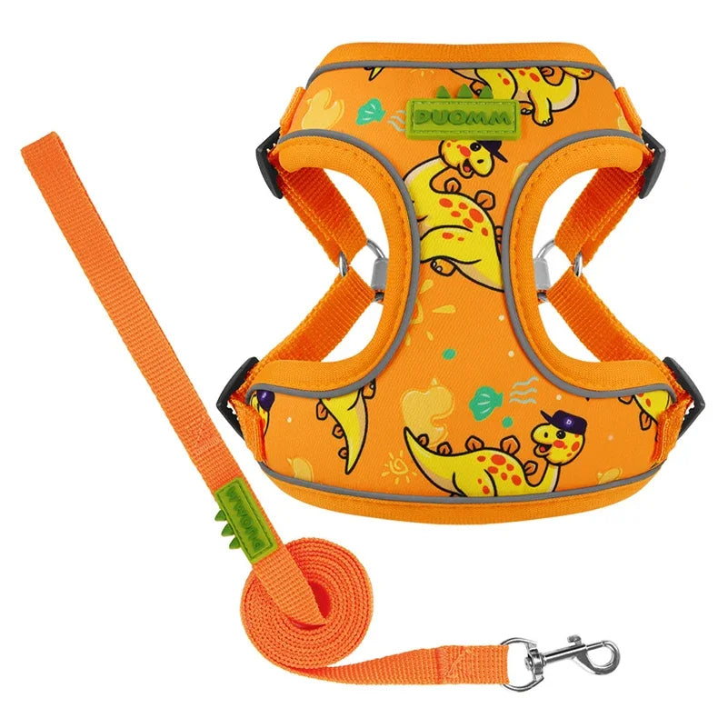 CDDMPET Dog Harness and Leash Set