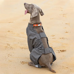 New Dog Raincoat Waterproof and Comfortable Fabric Night Reflective Hooded Pet Supplies Labrador Golden Retriever Bulldog