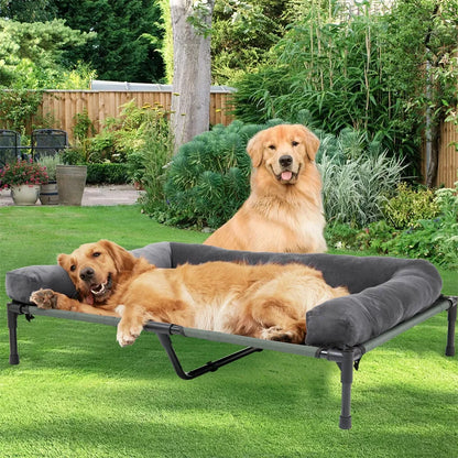 BINGOPAW Outdoor Elevated Dog Bed