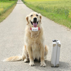 2G Mini Pet GPS Tracker TK909 Waterproof IP65 Geofence Track GPS For Cat Collar Voice Monitor GPS Locator For Dog FREE APP