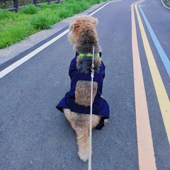 Waterproof Dog Raincoat Jumpsuit For Medium Large Dogs Rain Coat Outdoor Pet Clothes Puppy Doberman Labrador Husky Jacket