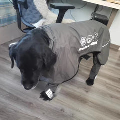 Waterproof Dog Raincoat Jumpsuit For Medium Large Dogs Rain Coat Outdoor Pet Clothes Puppy Doberman Labrador Husky Jacket