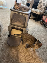 Trending hot product travel wheels stroller rolling trolley pet carrier Oxford Weekend pet carrier with wheels for 2 cats