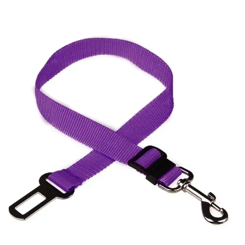 Cat Car Seat Belt