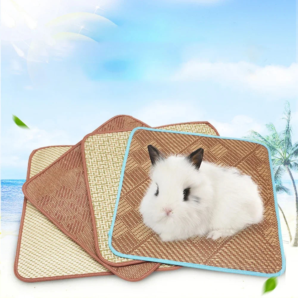 30*30cm Pet Rattan Mat