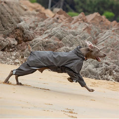 New Dog Raincoat Waterproof and Comfortable Fabric Night Reflective Hooded Pet Supplies Labrador Golden Retriever Bulldog