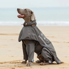 New Dog Raincoat Waterproof and Comfortable Fabric Night Reflective Hooded Pet Supplies Labrador Golden Retriever Bulldog