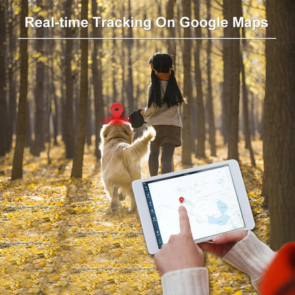 2G Mini Pet GPS Tracker