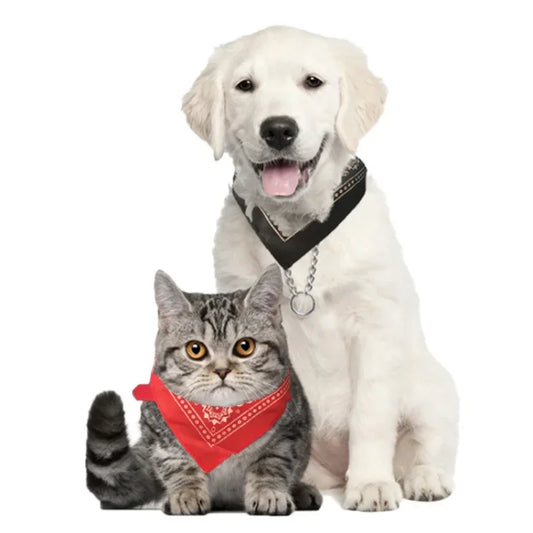 Cat Collar Lovely Adjustable Size Dog Cat Necktie
