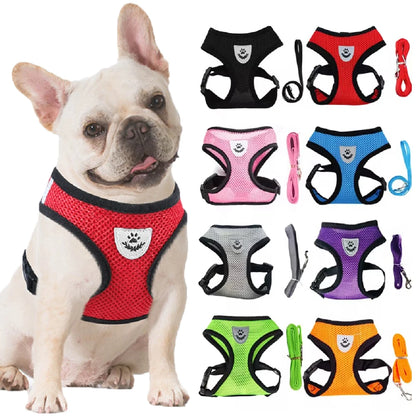 Cat Dog Harness With Lead Leash Kitten Puppy Outdoor Walking Collar