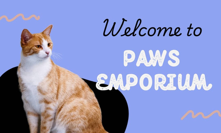 WELCOME TO PAWS EMPORIUM